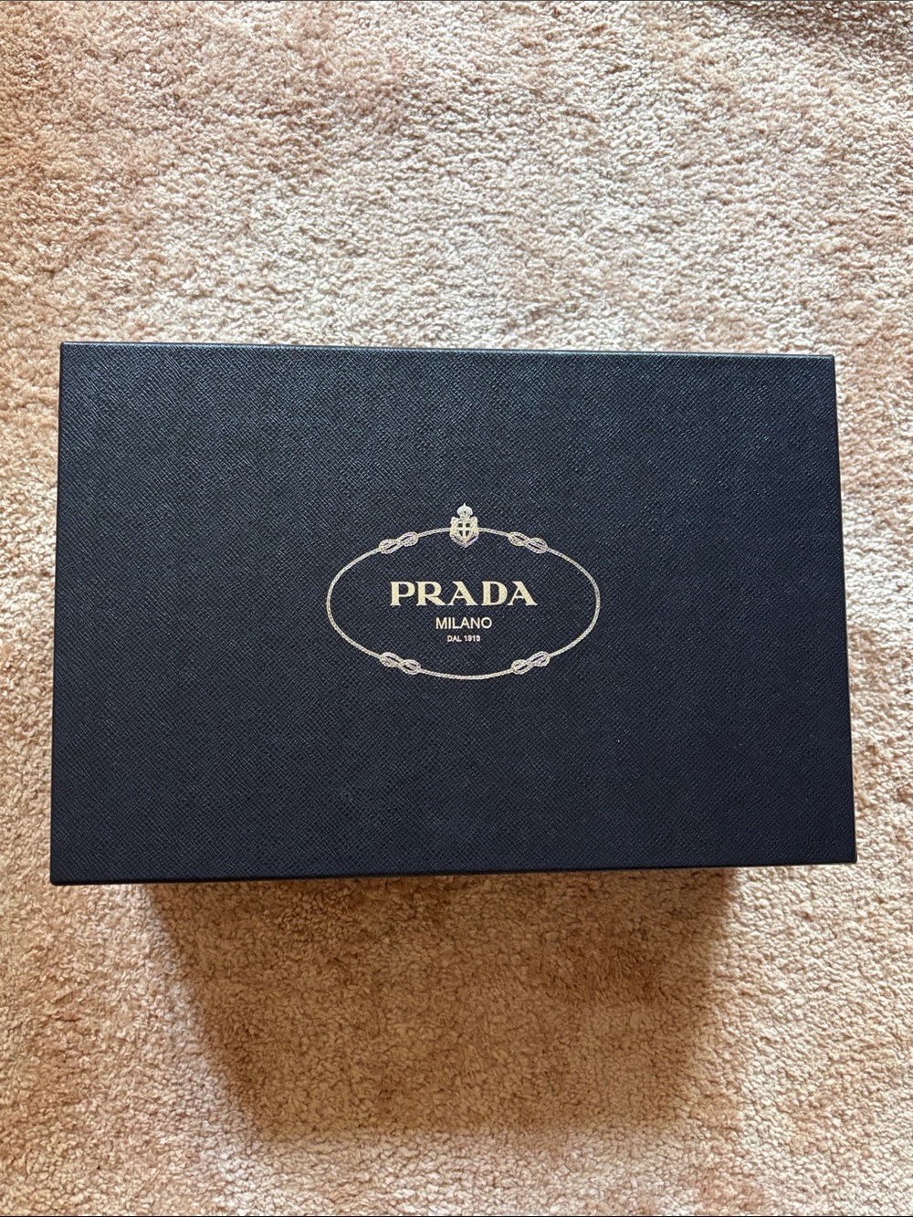 💙 NEW Prada  large box navy / silver